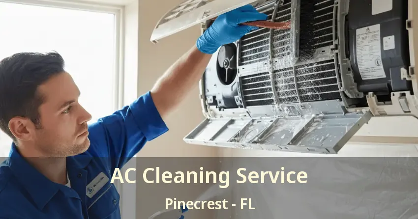 AC Cleaning Service Pinecrest - FL
