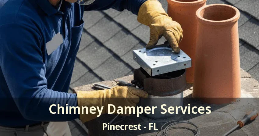 Chimney Damper Services Pinecrest - FL