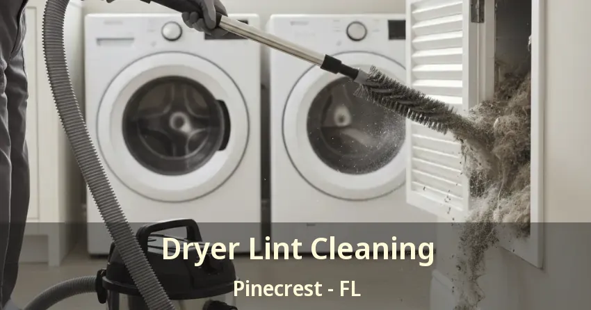 Dryer Lint Cleaning Pinecrest - FL