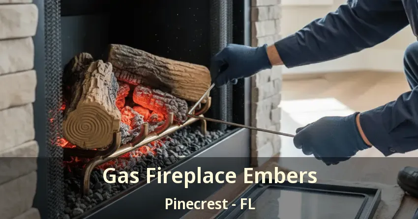 Gas Fireplace Embers Pinecrest - FL