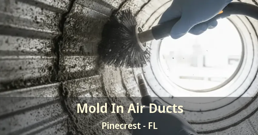 Mold In Air Ducts Pinecrest - FL Mold In Air Ducts Pinecrest - FL