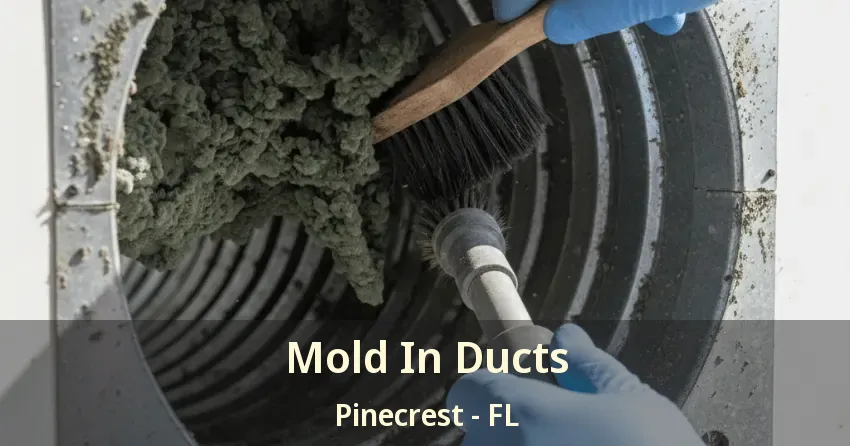 Mold In Ducts Pinecrest - FL
